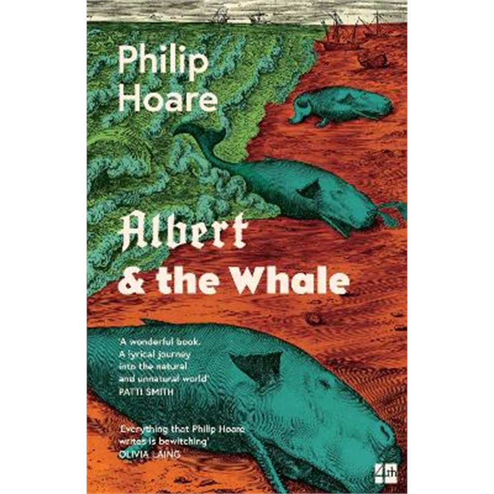 Albert & the Whale (Paperback) - Philip Hoare